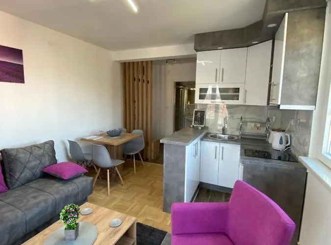 公寓 Tamara Lux Vrnjačka Banja