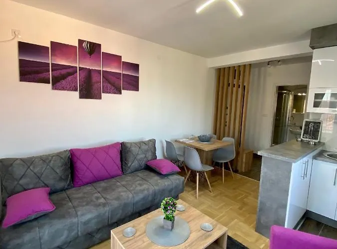 Tamara Lux Vrnjačka Banja